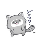 アライグマの日常色々（個別スタンプ：24）
