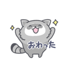 アライグマの日常色々（個別スタンプ：31）