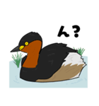 野鳥コメント（個別スタンプ：2）