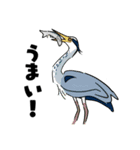 野鳥コメント（個別スタンプ：4）