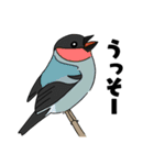 野鳥コメント（個別スタンプ：6）