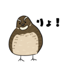 野鳥コメント（個別スタンプ：11）
