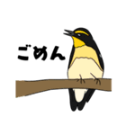 野鳥コメント（個別スタンプ：12）
