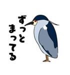 野鳥コメント（個別スタンプ：16）