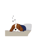 サラリー犬 キャバリア編（個別スタンプ：8）