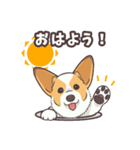 うちのイヌなど(コーギー)（個別スタンプ：3）