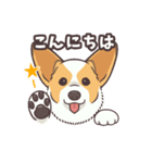 うちのイヌなど(コーギー)（個別スタンプ：5）