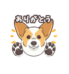 うちのイヌなど(コーギー)（個別スタンプ：6）