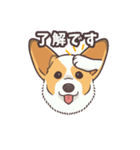 うちのイヌなど(コーギー)（個別スタンプ：9）