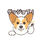 うちのイヌなど(コーギー)（個別スタンプ：12）