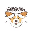 うちのイヌなど(コーギー)（個別スタンプ：14）