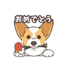 うちのイヌなど(コーギー)（個別スタンプ：17）