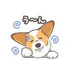 うちのイヌなど(コーギー)（個別スタンプ：18）