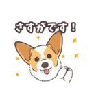 うちのイヌなど(コーギー)（個別スタンプ：19）