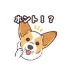 うちのイヌなど(コーギー)（個別スタンプ：20）