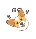 うちのイヌなど(コーギー)（個別スタンプ：22）