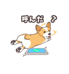 うちのイヌなど(コーギー)（個別スタンプ：23）