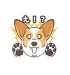 うちのイヌなど(コーギー)（個別スタンプ：24）