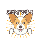うちのイヌなど(コーギー)（個別スタンプ：25）
