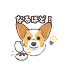 うちのイヌなど(コーギー)（個別スタンプ：27）