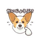 うちのイヌなど(コーギー)（個別スタンプ：30）