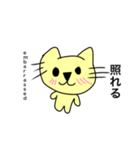 イエローキャットの日常(英語ver)（個別スタンプ：29）