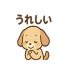 ゆるかわワンころ毎日あいさつ（個別スタンプ：5）