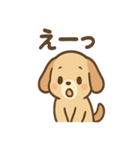 ゆるかわワンころ毎日あいさつ（個別スタンプ：6）