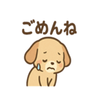 ゆるかわワンころ毎日あいさつ（個別スタンプ：7）