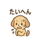 ゆるかわワンころ毎日あいさつ（個別スタンプ：10）