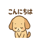 ゆるかわワンころ毎日あいさつ（個別スタンプ：11）