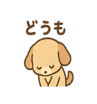ゆるかわワンころ毎日あいさつ（個別スタンプ：13）