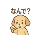 ゆるかわワンころ毎日あいさつ（個別スタンプ：19）