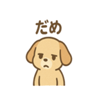 ゆるかわワンころ毎日あいさつ（個別スタンプ：22）
