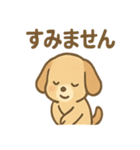 ゆるかわワンころ毎日あいさつ（個別スタンプ：29）