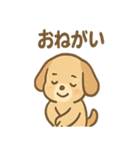 ゆるかわワンころ毎日あいさつ（個別スタンプ：32）