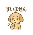 ゆるかわワンころ毎日あいさつ（個別スタンプ：34）