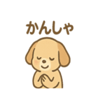 ゆるかわワンころ毎日あいさつ（個別スタンプ：35）