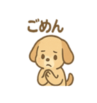 ゆるかわワンころ毎日あいさつ（個別スタンプ：36）