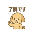 ゆるかわワンころ毎日あいさつ（個別スタンプ：37）