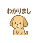 ゆるかわワンころ毎日あいさつ（個別スタンプ：38）