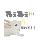 もちさんのイロイロミックス（個別スタンプ：2）