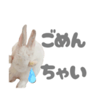 もちさんのイロイロミックス（個別スタンプ：3）
