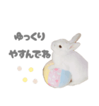 もちさんのイロイロミックス（個別スタンプ：6）