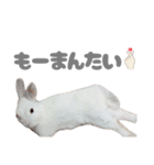 もちさんのイロイロミックス（個別スタンプ：7）