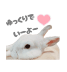 もちさんのイロイロミックス（個別スタンプ：12）