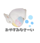 もちさんのイロイロミックス（個別スタンプ：14）