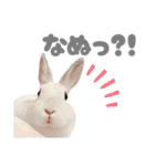 もちさんのイロイロミックス（個別スタンプ：16）