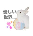 もちさんのイロイロミックス（個別スタンプ：17）
