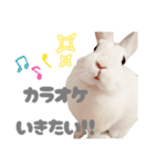 もちさんのイロイロミックス（個別スタンプ：18）